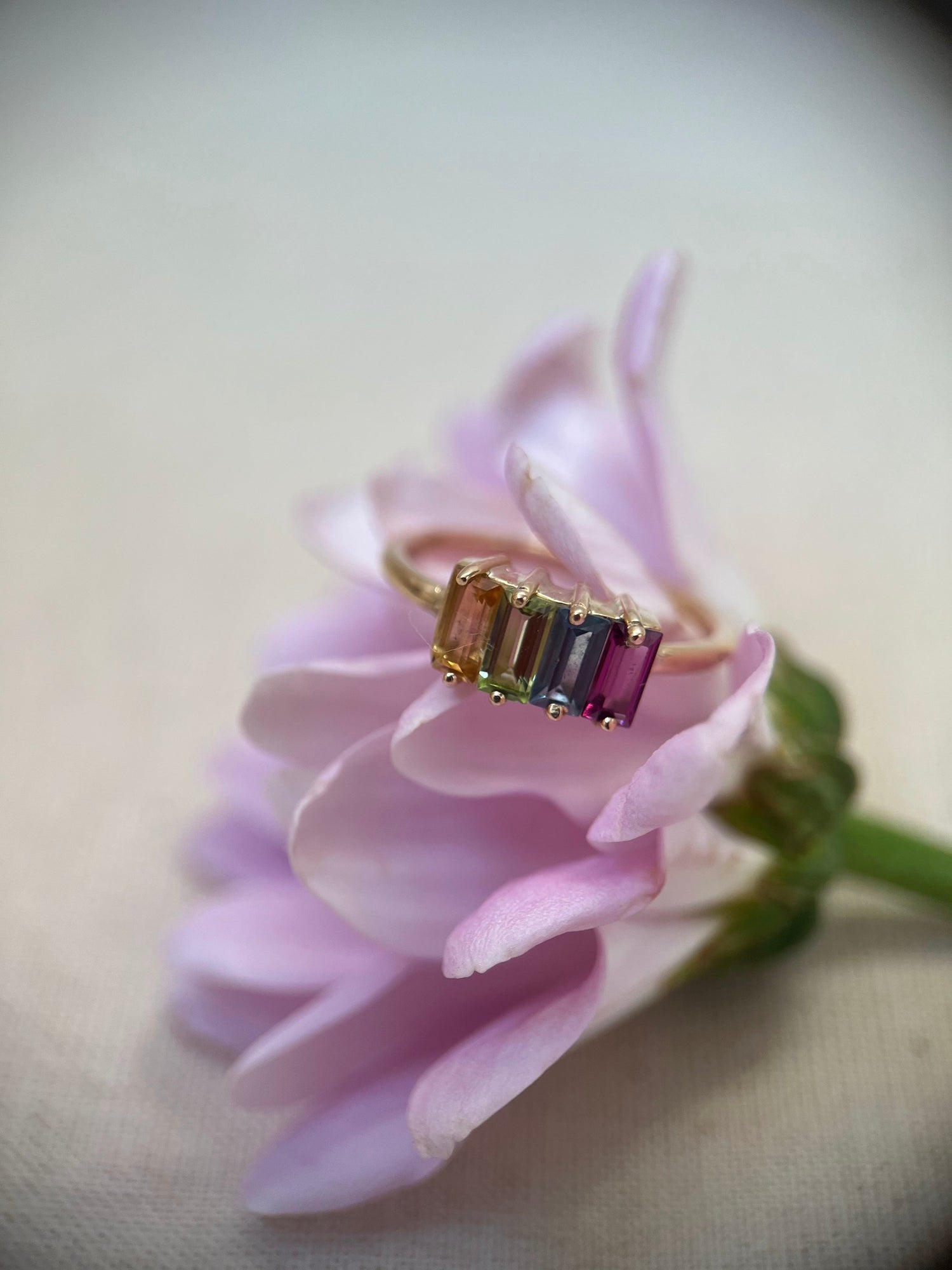 Anillos